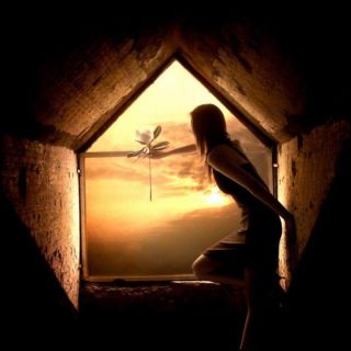 Architect of Your Future